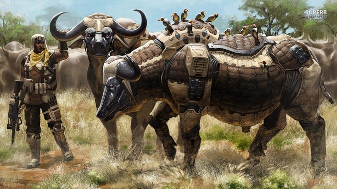 你理想中的完美户型长什么样？